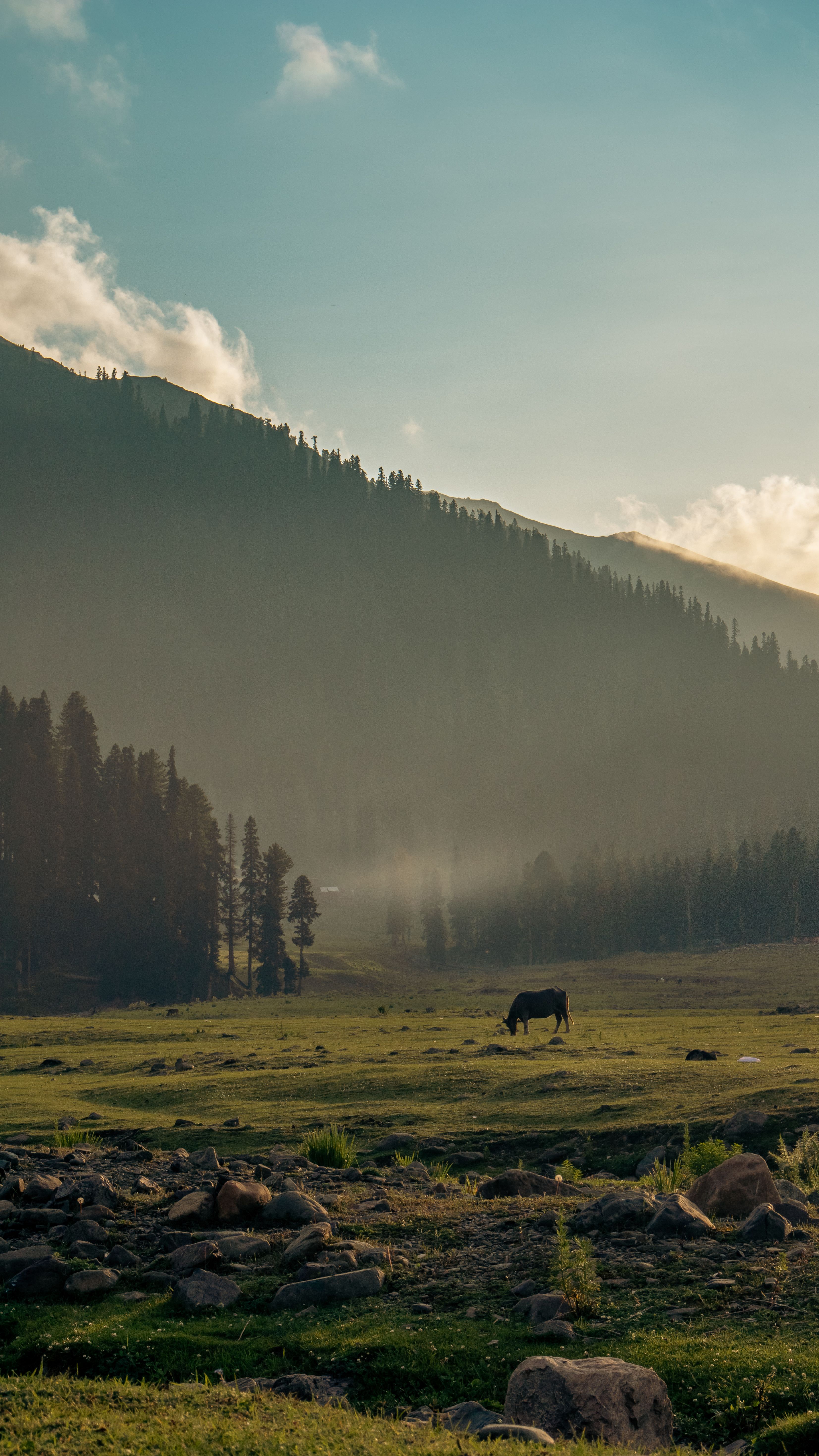 Yusmarg